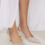 Taylor 1 עקב ערב שפיץ לבן 3