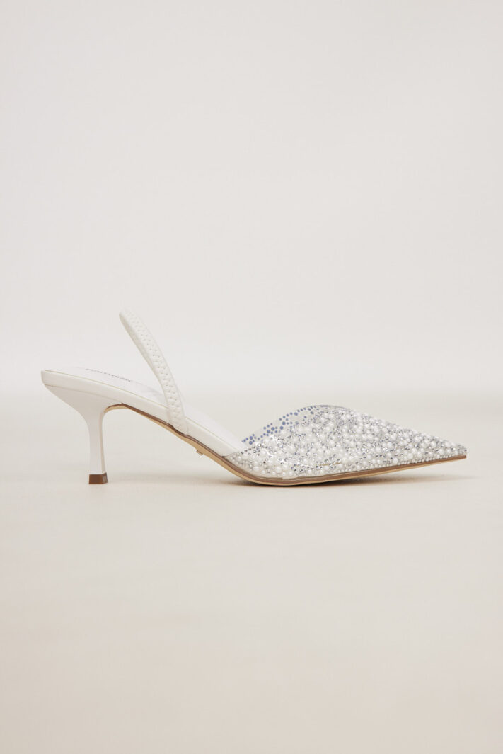 Taylor 1 עקב ערב שפיץ לבן 4