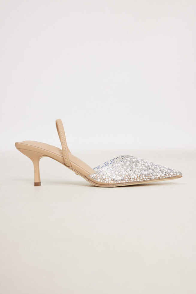 Taylor 1 עקב ערב שפיץ ניוד 1