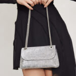 תיק ערב ברנדה כסף 1