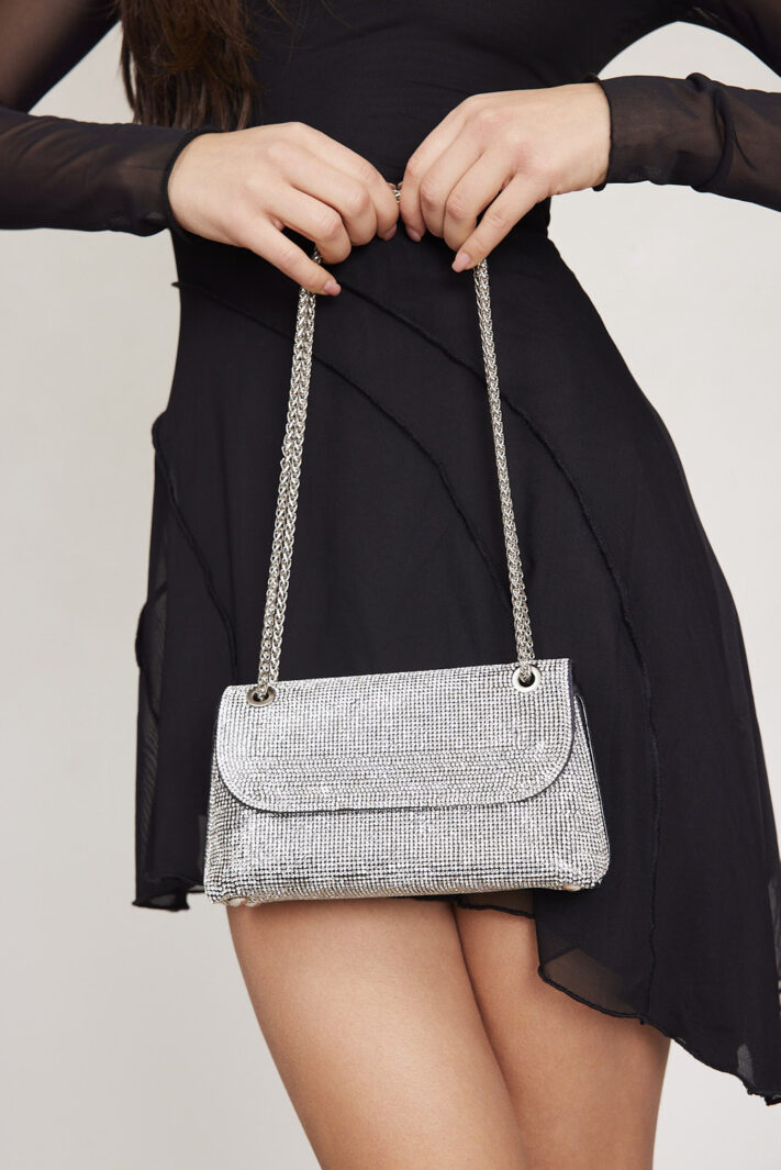 תיק ערב ברנדה כסף 1